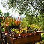 Le Due Querce Civitella Benazzone