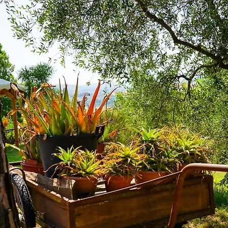 Le Due Querce Civitella Benazzone